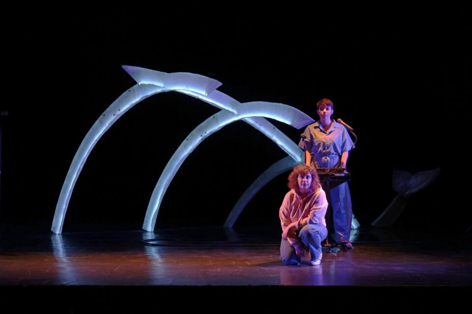 les-insulaires-2-xavier-cantat