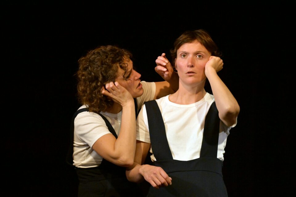 madame-bovary-en-plus-drole-et-moins-long_philippelaurent_17_hd